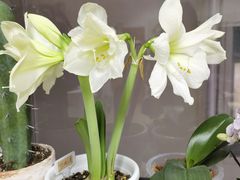 -曦辰书院·书法篆刻