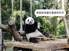 -海南热带野生动植物园