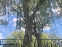 -皇家御河游(紫御湾码头)