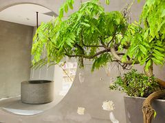 -二酉书店TOYOU BOOKS