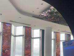 -平安金融中心云际观光层
