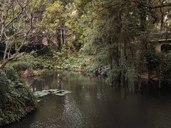 -广州兰圃