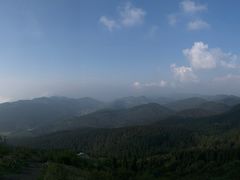 -武陵山森林公园