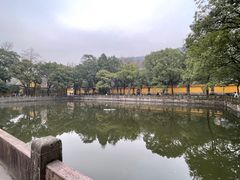 -阿育王寺