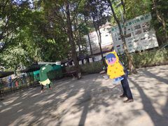 -勇士之星真人CS·团建·拓展(清水河公园店)