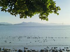 -深圳湾公园(南山区)