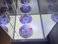 -唐山抗震纪念馆