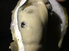 -黄师傅湿辣牛肉(胡桃里店)