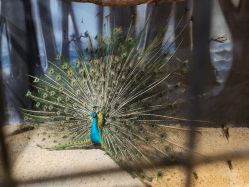 -酷嗒动物文化乐园(cutezoo西溪乐天城店)