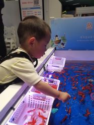 -孩子王童乐园(洛阳万达店)