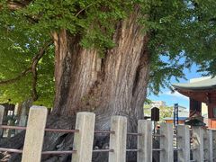 -医王山·飞騨国分寺