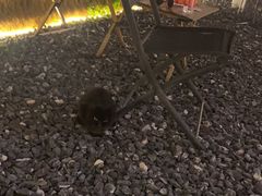 -DGE季风钓虾营地·团建·聚会