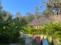 -大象粑粑造纸公园