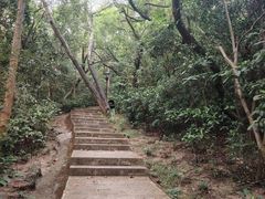 -野狸岛