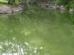 -北京大学赛克勒考古与艺术博物馆