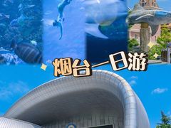 -烟台海昌鲸鲨海洋公园