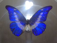 -陕西自然博物馆