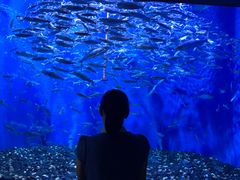 -成都浩海立方海洋公园