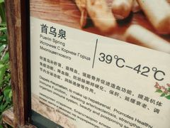 -三亚珠江南田温泉度假区