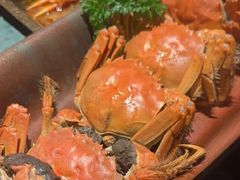 -牛New寿喜烧(金鹰世界店)