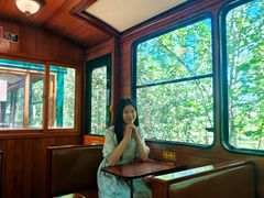 -合肥滨湖国家森林公园