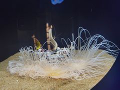 -欢乐海岸海洋奇梦馆