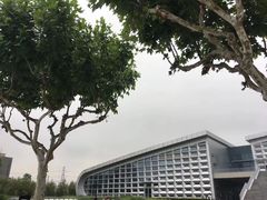-同济大学四平路校区游泳馆