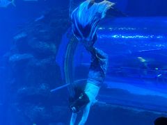 -太平洋海底世界