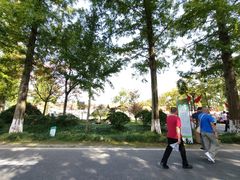 -黄海国家森林公园