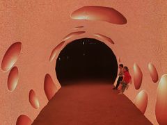 -香蜜公园