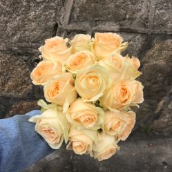-绿皮火车照相馆 婚纱照旅拍(厦门店)