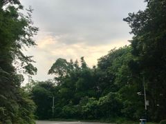 -广州市帽峰山景区