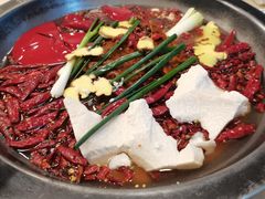 纯牛油锅底-黄潇洒老火锅(九眼桥宏济巷店)