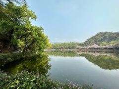 -星湖旅游景区七星岩