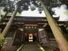 -青城山