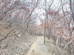 -南山风景名胜区