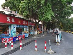 -水濂山乐民游艺园