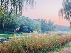 -元大都城垣遗址公园