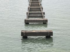 -贡湖湾湿地公园