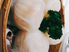 -老广新意(奥园店)