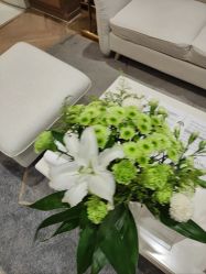 -HEYAN长风荷妍专业脱毛美肤
