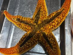 -众想海鲜·烧烤·海肠捞饭·渔家菜(孙家疃店)