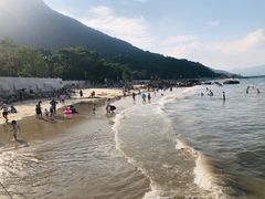 -杨梅坑