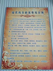 -寇氏减肥