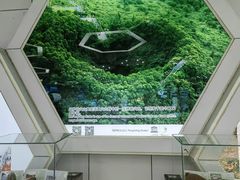 -海口火山口国家地质公园