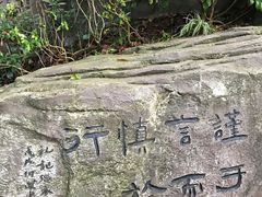 -子昂故里文化旅游区