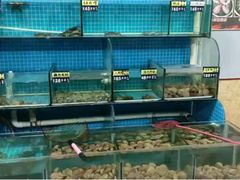 水产区-兆辉木炭海鲜烧烤·海鲜小炒