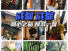 -成都大熊猫繁育研究基地