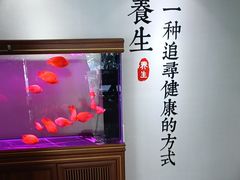 -金蚁康•经络调理•肩颈按摩(万达金街店)