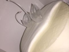 -BLACKSWAN黑天鹅(环球店)